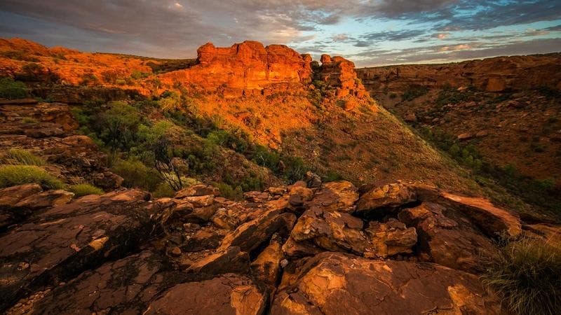 El Museo del Prado inaugura la mayor retrospectiva de Velázquez fuera de sus muros
