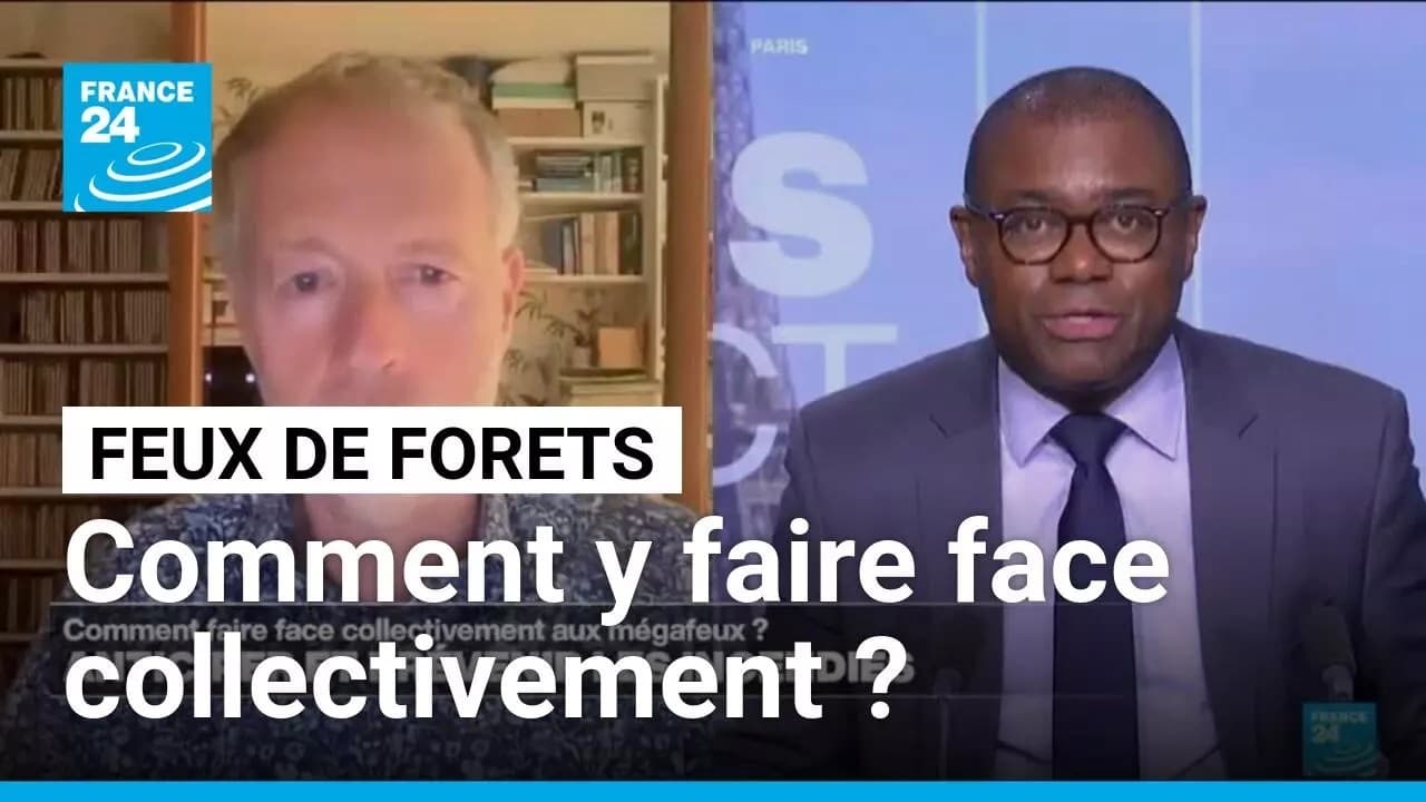 Mégafeux 2026 : l'État a-t-il tout prévu ?