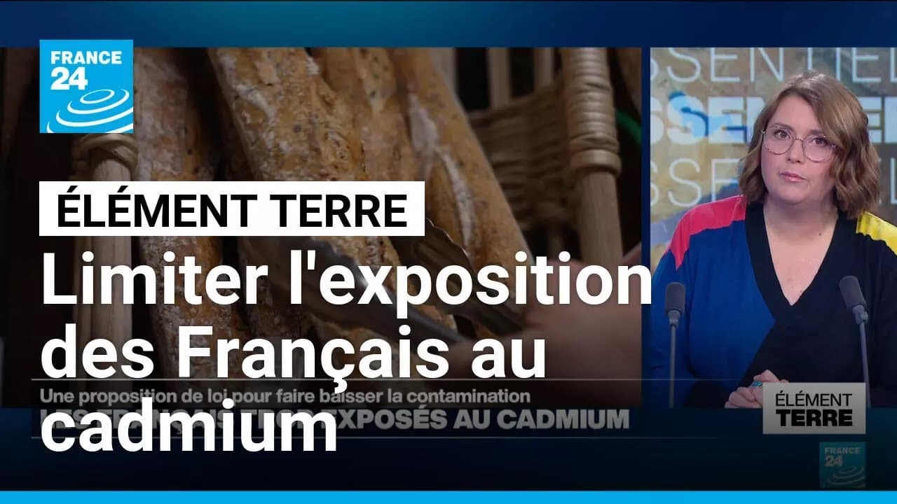 Engrais au cadmium : l’État français empoisonne ses propres citoyens