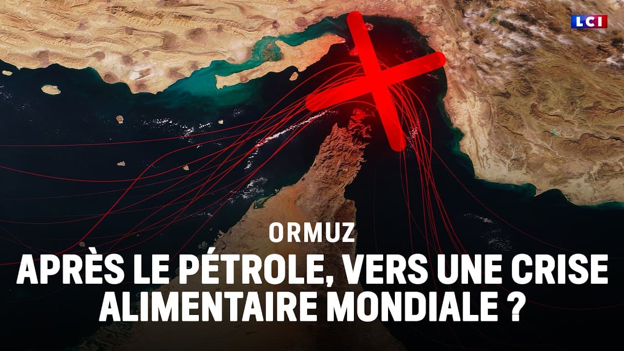Blocus d'Ormuz : la bombe à retardement alimentaire que l'Europe ignore