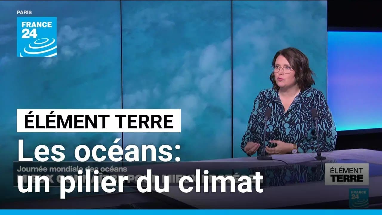 Océans : 84 % des récifs coralliens menacés, le baromètre Starfish alerte