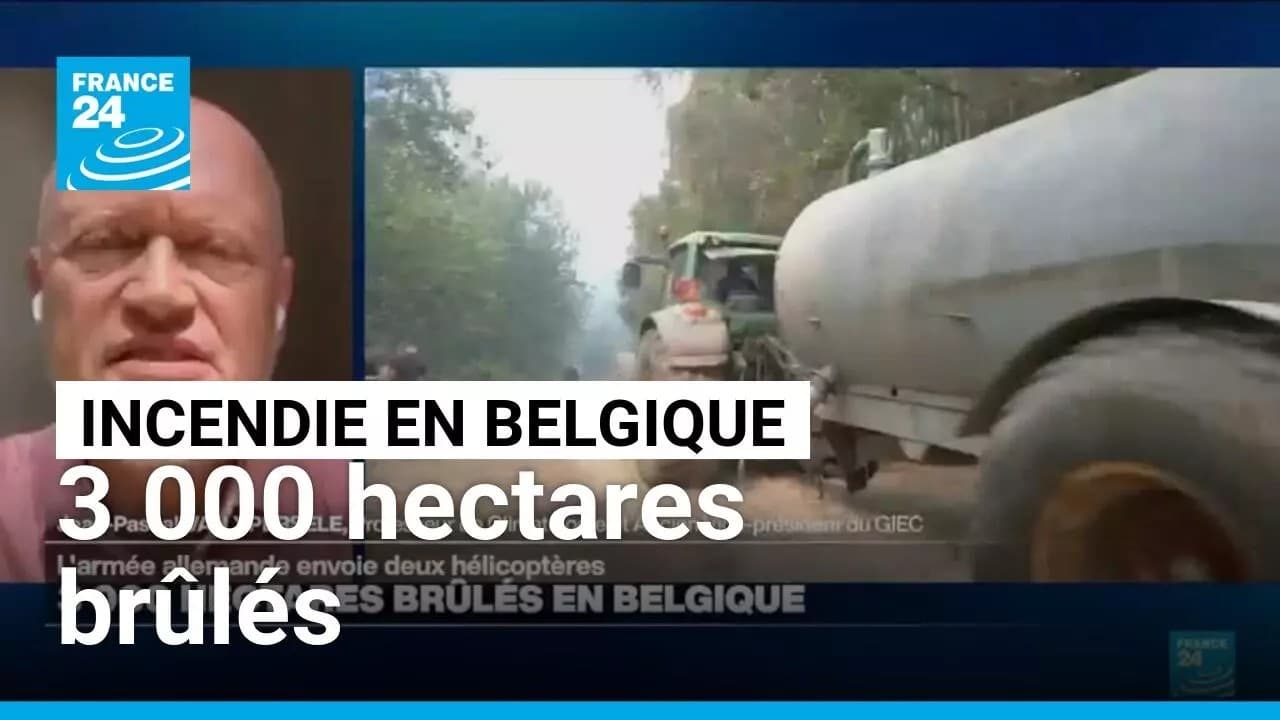 Incendies en Belgique : l'alerte climatique ignorée depuis 20 ans