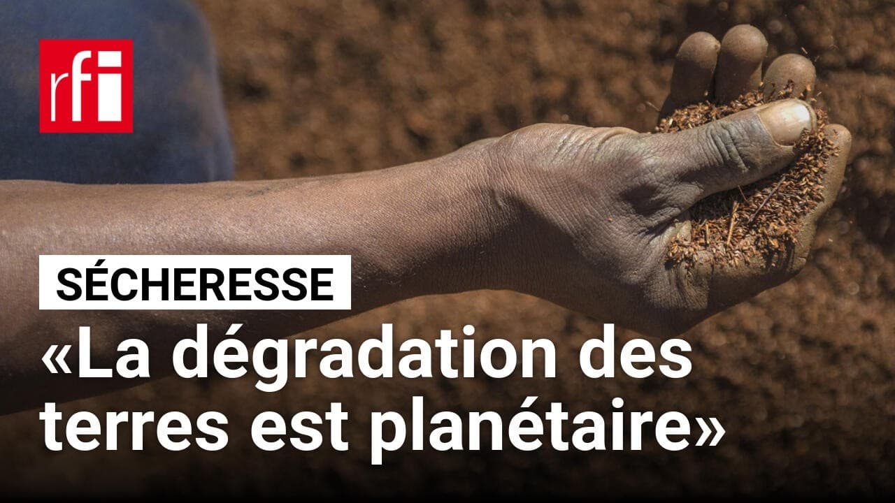 Désertification : 40% des sols dégradés, la France officiellement affectée