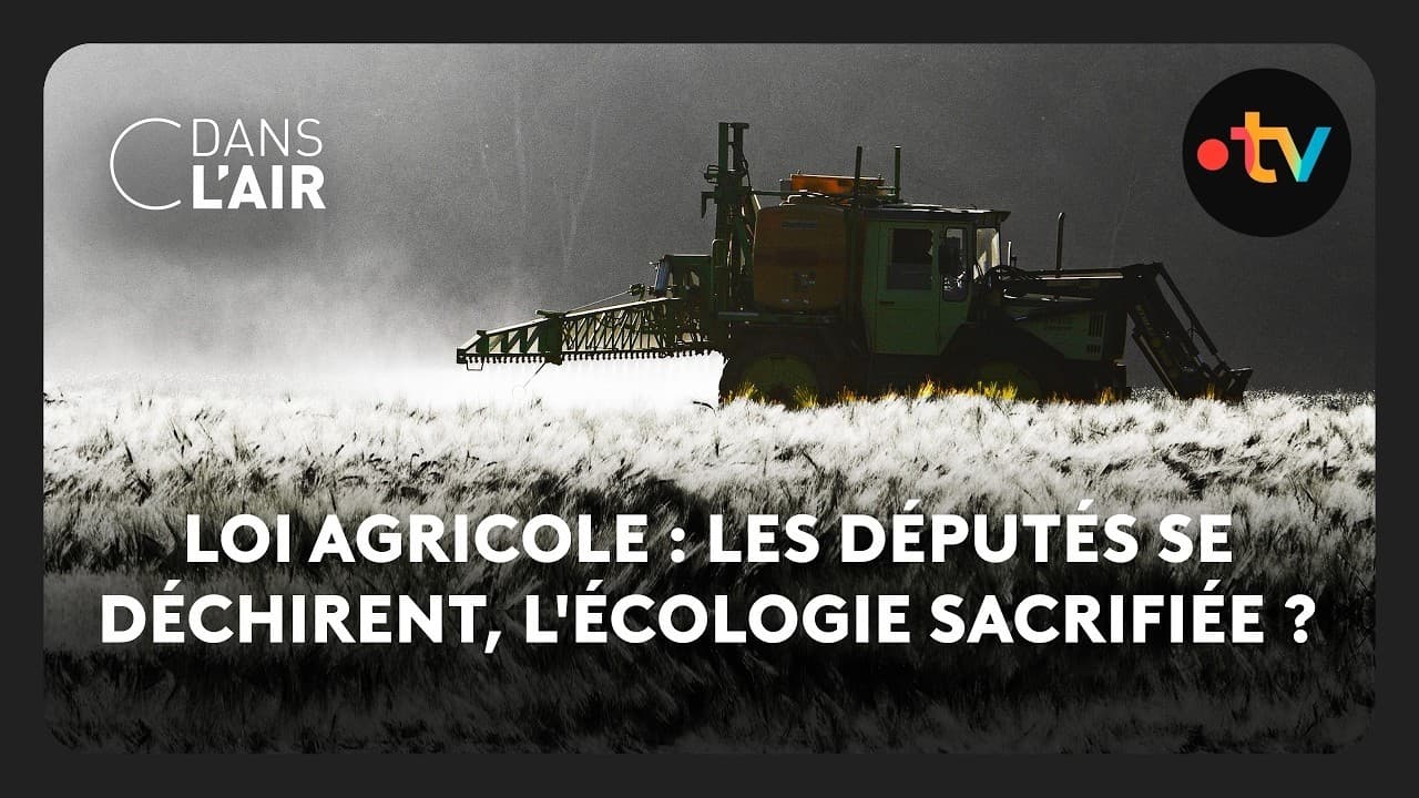 Insecticides interdits : comment l'urgence agricole a fracturé l'exécutif