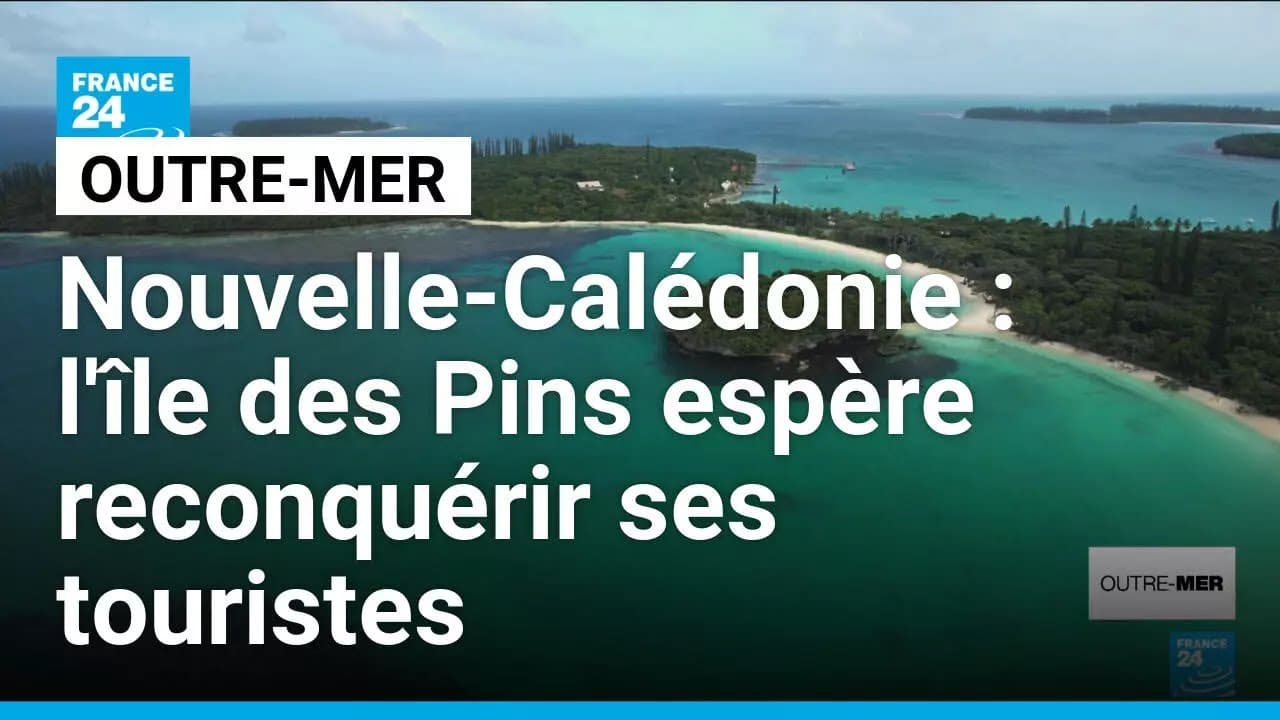 Chlordécone : l'État reconnaît sa faute, les Antilles crient au scandale