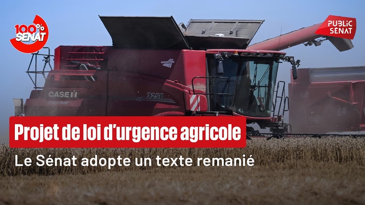 Loi agricole au Sénat : pesticides interdits, loup et 0,1 % qui décide