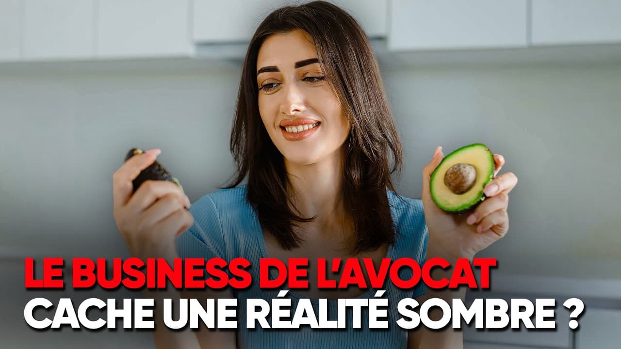 L'avocat : fruit miracle, désastre écologique et proie des cartels