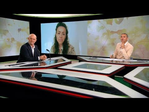 Déforestation et élevage intensif : la bombe à virus qui menace l'humanité