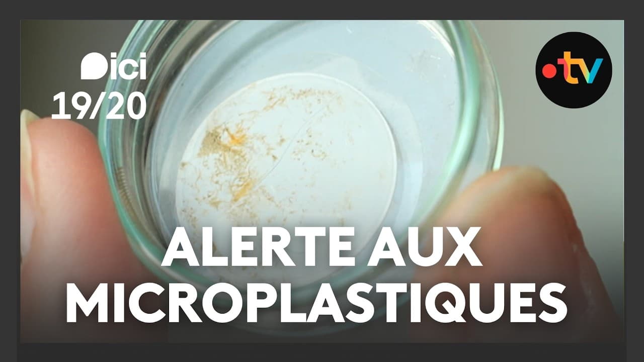 La Loire étouffée par les microplastiques : l'enquête qui accuse