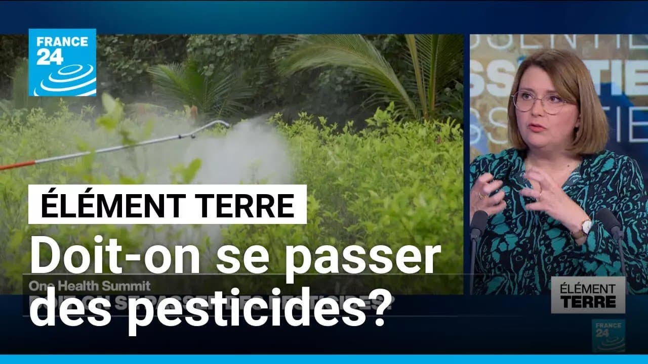 Pesticides : le scandale sanitaire étouffé par l'industrie au One Health Summit