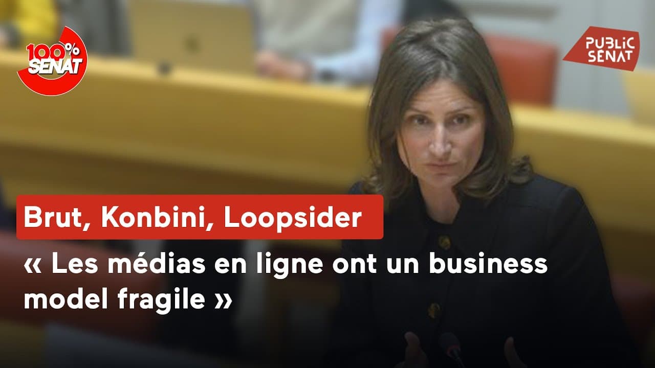 SÉNAT SOUS INFLUENCE : comment les médias en ligne résistent aux algorithmes et à l'ingérence étrangère