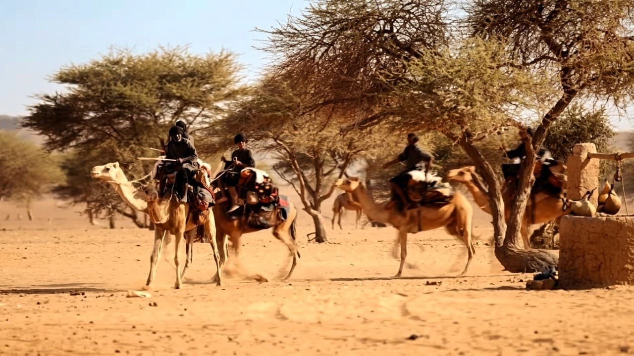 Méharistes mauritaniens : l'arme oubliée contre le terrorisme au Sahel