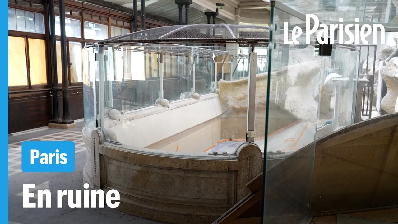 SCANDALE au Muséum : 500 millions pour sauver un trésor national en ruine