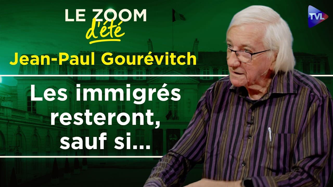 Immigration : 250 milliards de déficit — et un expert poursuivi par Wikipédia