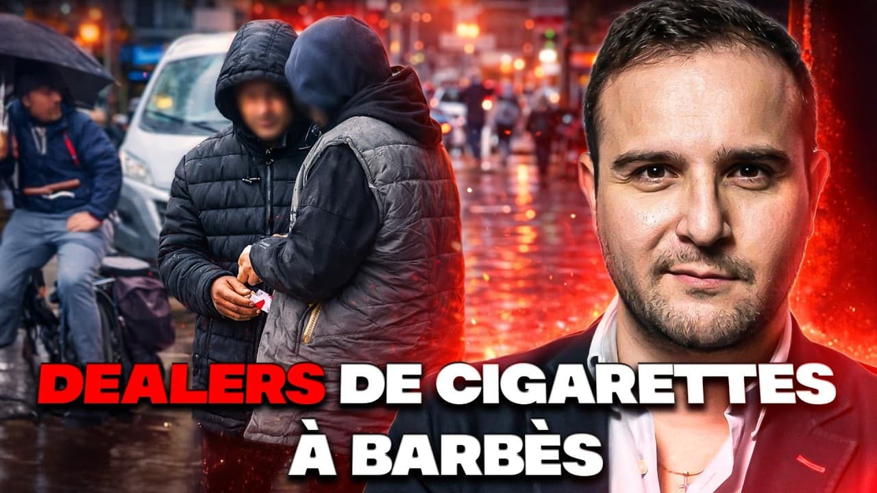 Trafic de cigarettes : la contrebande qui étrangle les buralistes et engraisse les mafias