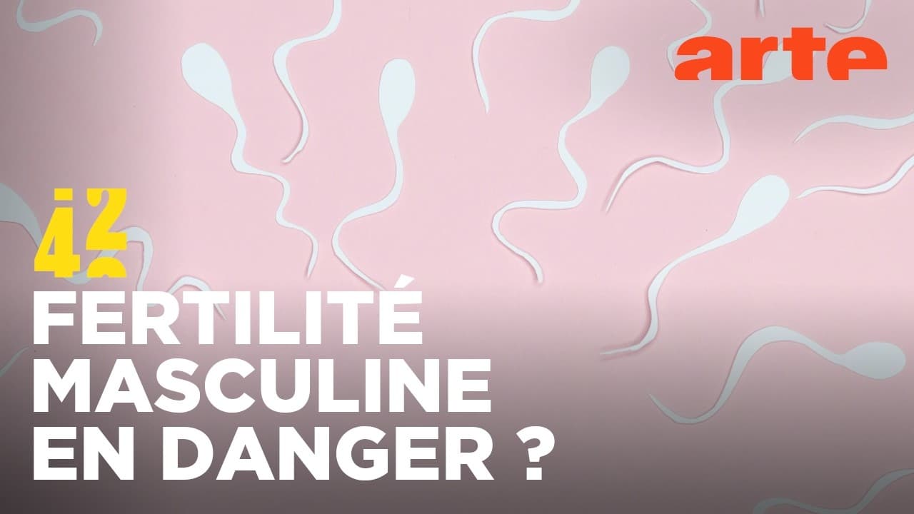 Crise du sperme : l'humanité menacée par l'infertilité masculine