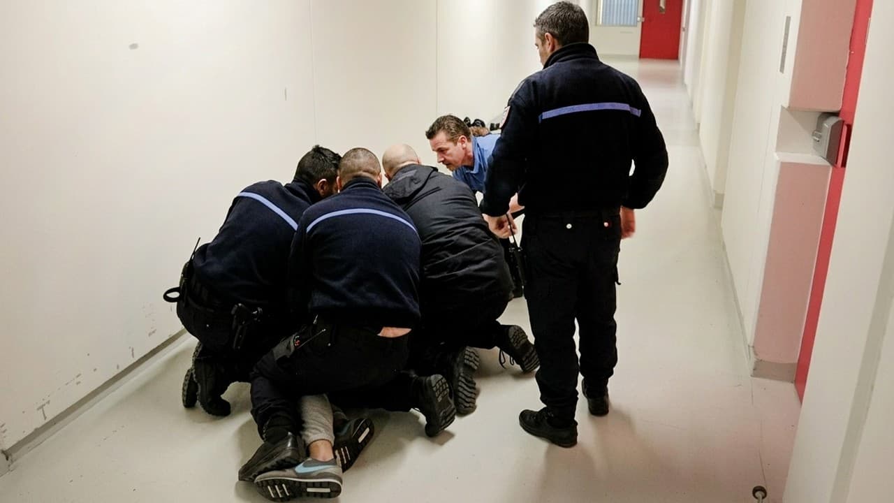 Prisons françaises : l'école du djihad et les défis de la radicalisation