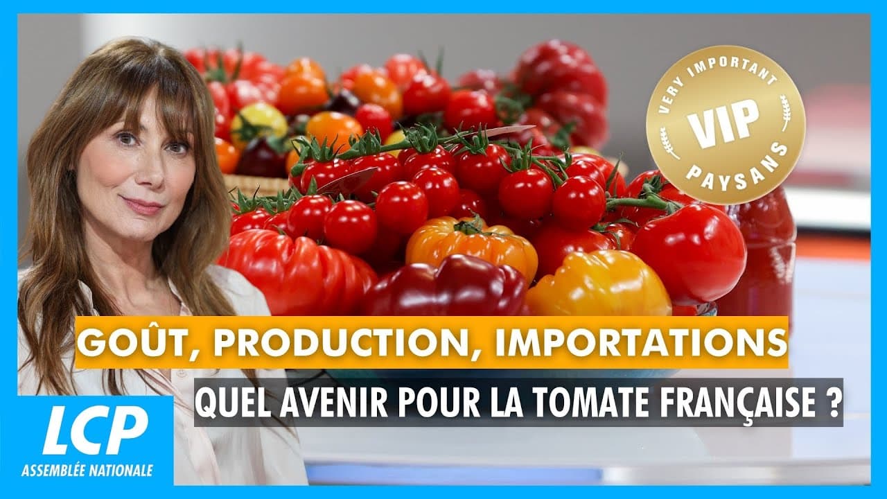 EXCLUSIF : Comment l'industrie et l'Europe étranglent l'agriculture et la pêche françaises